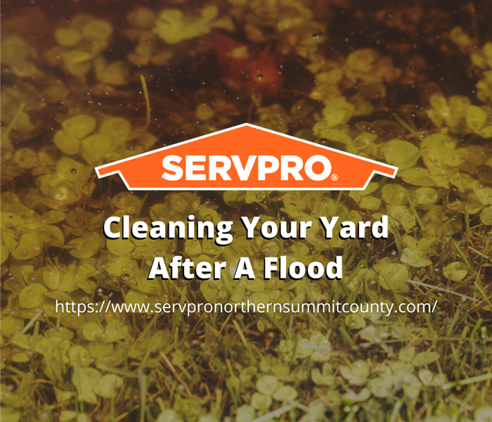 Cleaning Your Yard After A Flood