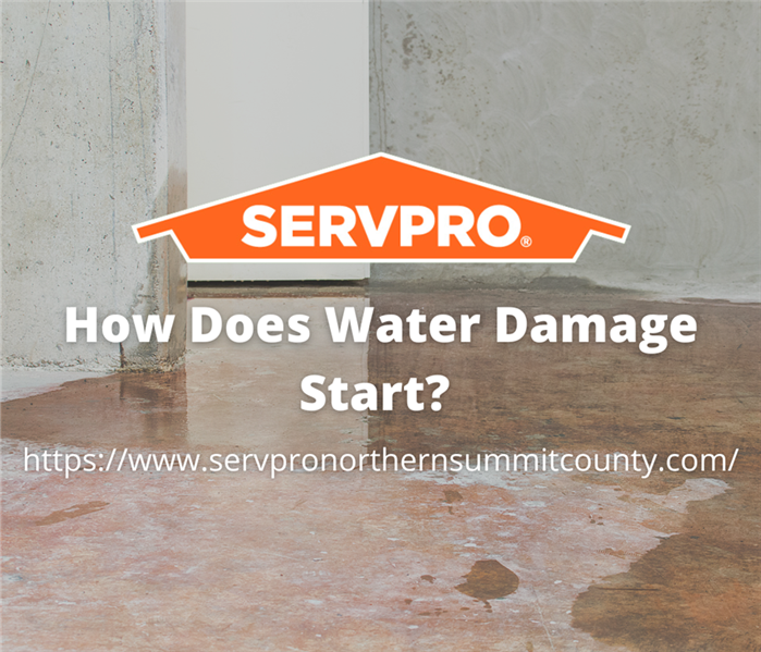 How Does Water Damage Start? 