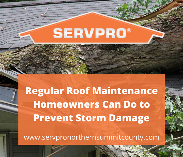 Tree limb crashed onto roof of home  - Regular Roof Maintenance Homeowners Can Do to Prevent Storm Damage - www.servpronorthe
